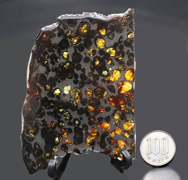 人気！縦９センチの立派な標本、ケニヤ産パラサイト隕石（本体防錆処理済み）（その10）