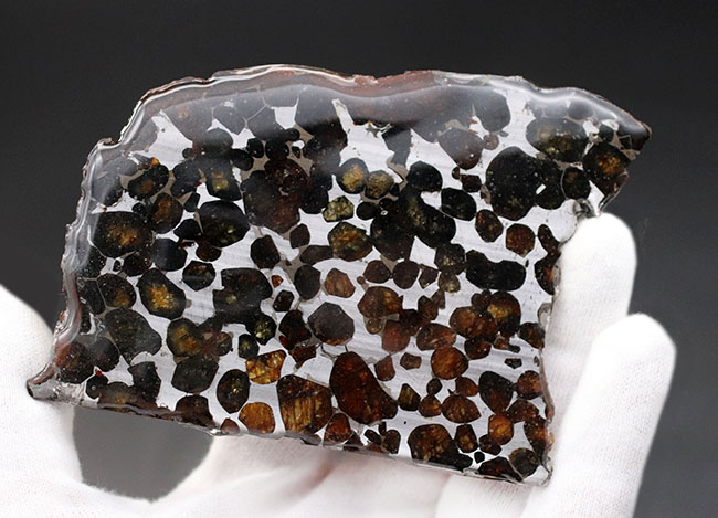 人気！縦９センチの立派な標本、ケニヤ産パラサイト隕石（本体防錆処理済み）（その3）