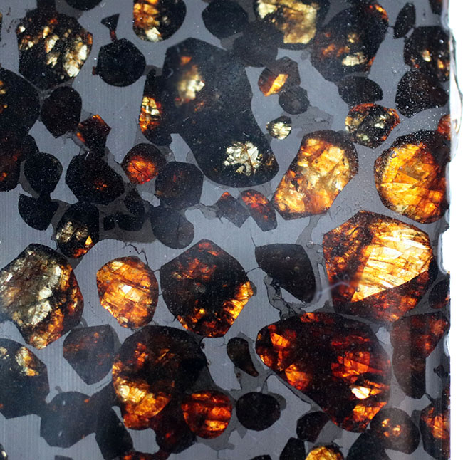 人気！縦９センチの立派な標本、ケニヤ産パラサイト隕石（本体防錆処理済み）（その9）