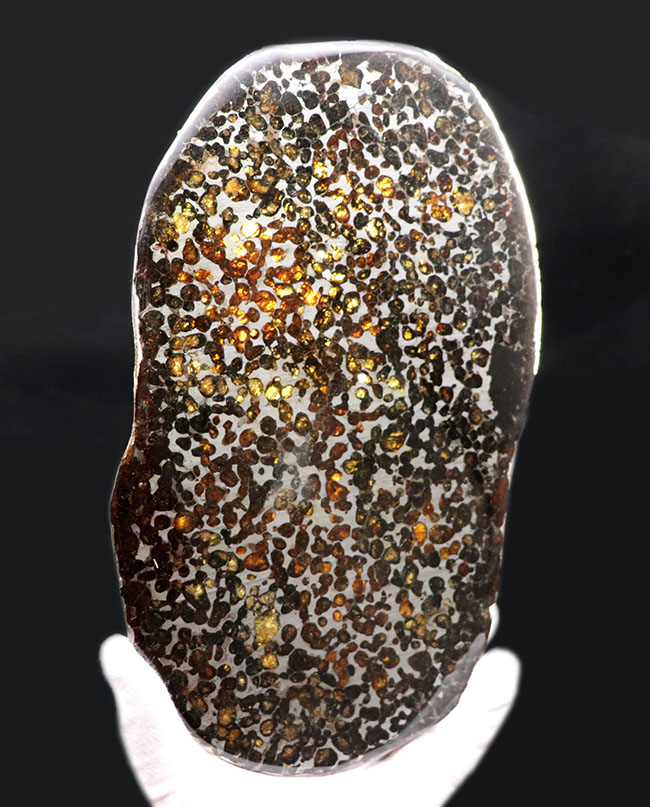 ありえないほど大判かつ良形！それでいてかんらん石がギラギラと輝く！ケニア・セリコ産のメガサイズのパラサイト隕石（本体防錆処理済み）（その1）