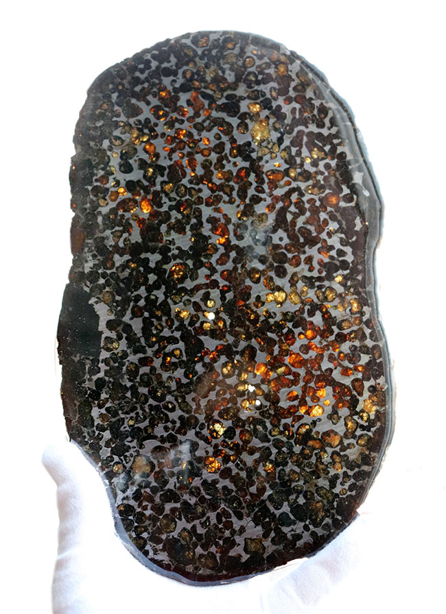 ありえないほど大判かつ良形！それでいてかんらん石がギラギラと輝く！ケニア・セリコ産のメガサイズのパラサイト隕石（本体防錆処理済み）（その10）