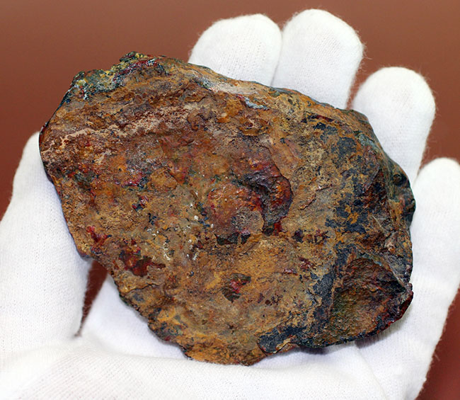 ハンガリー産ストロマトライトがメノウ化した珍しい化石（その8）