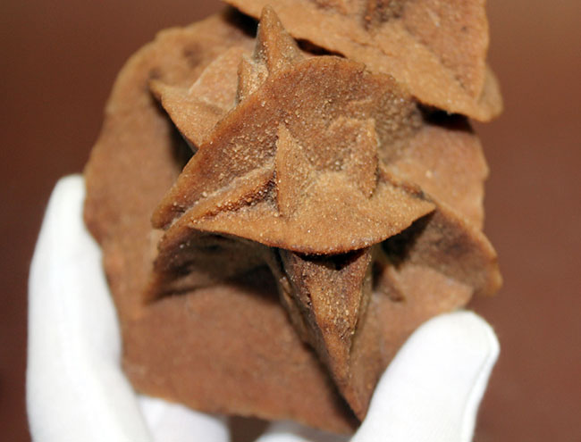 大きな結晶が魅力。ダイナミックな砂漠のバラ、モロッコ産です。(Desert rose)(その3)