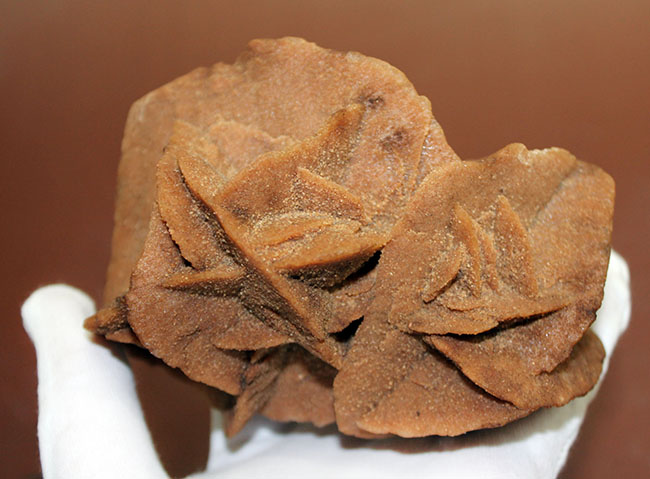 大きな結晶が魅力。ダイナミックな砂漠のバラ、モロッコ産です。(Desert rose)(その6)