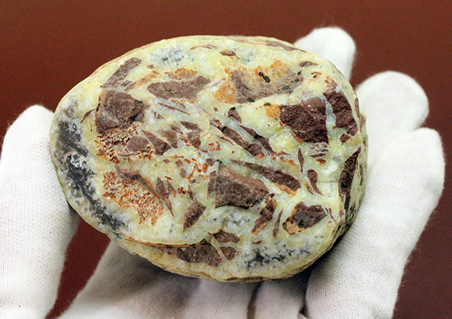 ブルーとグレイの中間色に目を奪われる新潟県佐渡市産のメノウ(agate)(その8)