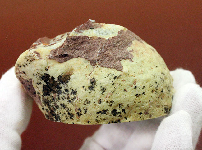 ブルーとグレイの中間色に目を奪われる新潟県佐渡市産のメノウ(agate)(その9)