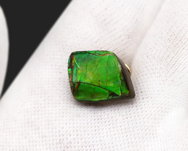 グリーン、イエローを呈する発色の良いアンモ”ラ”イト(Ammolite)を使ったピンブローチ(その2)