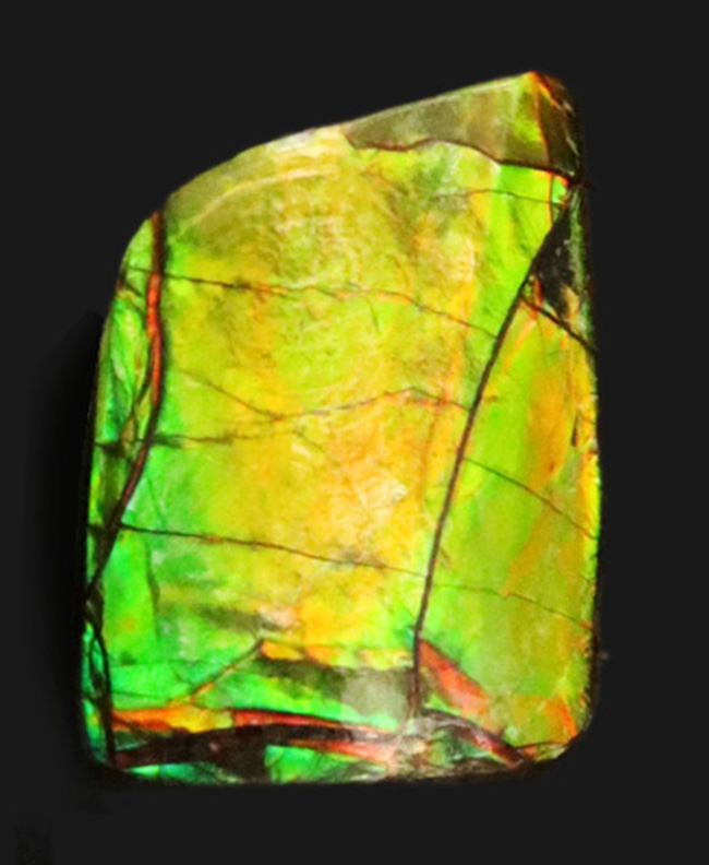 グリーン、イエローを呈する発色の良いアンモ”ラ”イト(Ammolite)を使ったピンブローチ(その4)