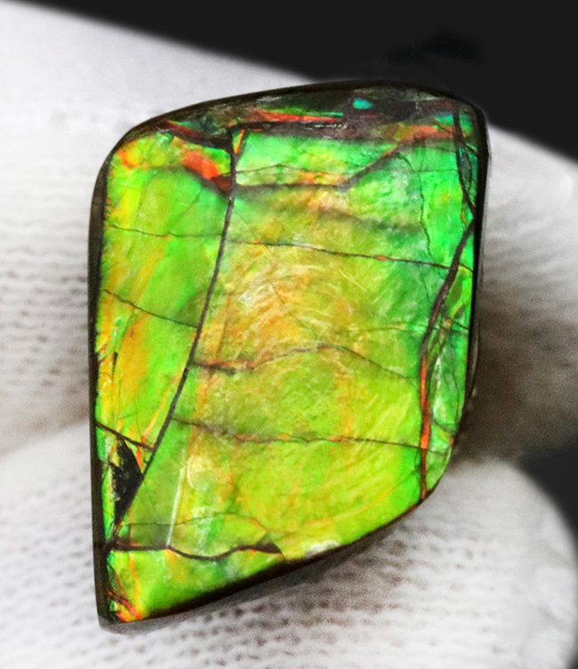 グリーン、イエローを呈する発色の良いアンモ”ラ”イト(Ammolite)を使ったピンブローチ(その5)