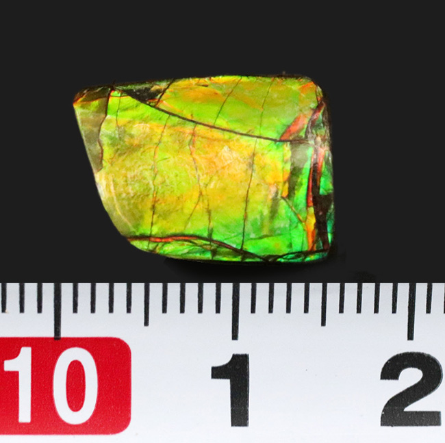 グリーン、イエローを呈する発色の良いアンモ”ラ”イト(Ammolite)を使ったピンブローチ(その8)