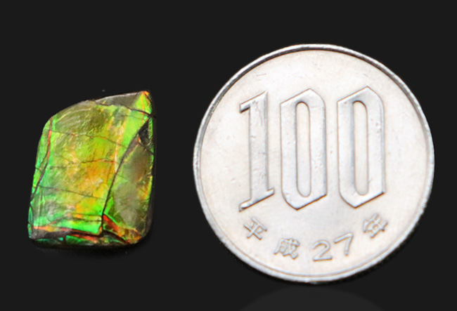 グリーン、イエローを呈する発色の良いアンモ”ラ”イト(Ammolite)を使ったピンブローチ(その9)