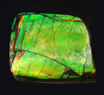 グリーン、イエローを呈する発色の良いアンモ”ラ”イト（Ammolite）を使ったピンブローチ