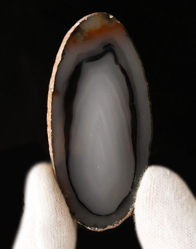 ブルーイッシュグレイを呈する、良質のブラジル産のメノウ(Agate)もスライス標本(その2)