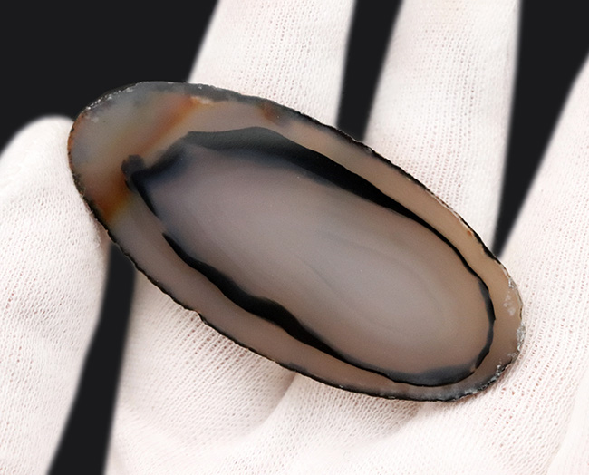ブルーイッシュグレイを呈する、良質のブラジル産のメノウ(Agate)もスライス標本(その4)
