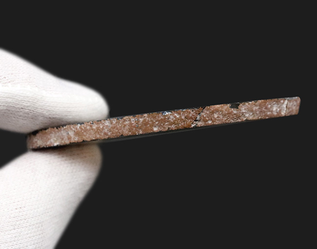 ブルーイッシュグレイを呈する、良質のブラジル産のメノウ(Agate)もスライス標本(その5)