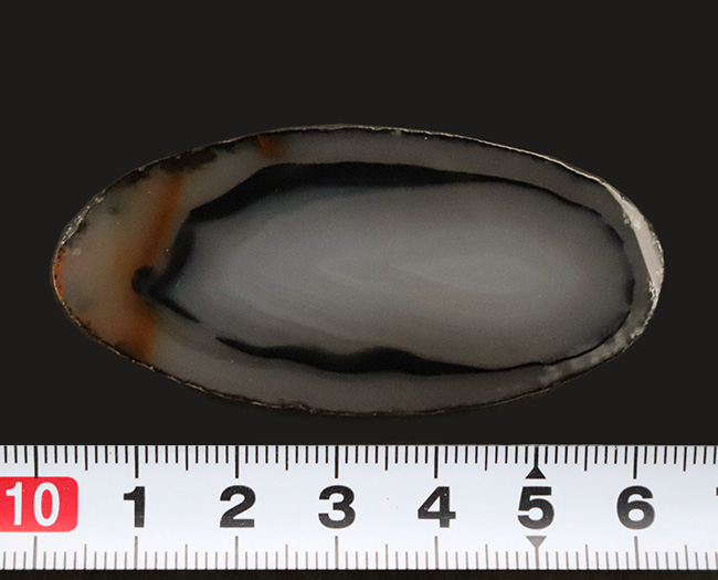 ブルーイッシュグレイを呈する、良質のブラジル産のメノウ(Agate)もスライス標本(その6)