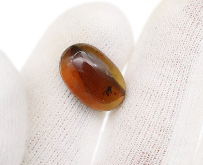 網目状の植物片に心を奪われる……透明度の高い、美しい飴色が魅力のミャンマー琥珀・バーマイト（Burmite）（その6）