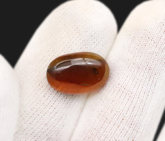 網目状の植物片に心を奪われる……透明度の高い、美しい飴色が魅力のミャンマー琥珀・バーマイト（Burmite）（その7）