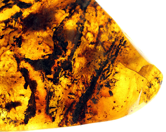 「激変」をお楽しみください。珍しい、メキシコ産のブルーアンバー(Amber)。紫外線ライト付き。(その5)