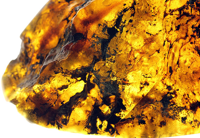 「激変」をお楽しみください。珍しい、メキシコ産のブルーアンバー(Amber)。紫外線ライト付き。(その6)