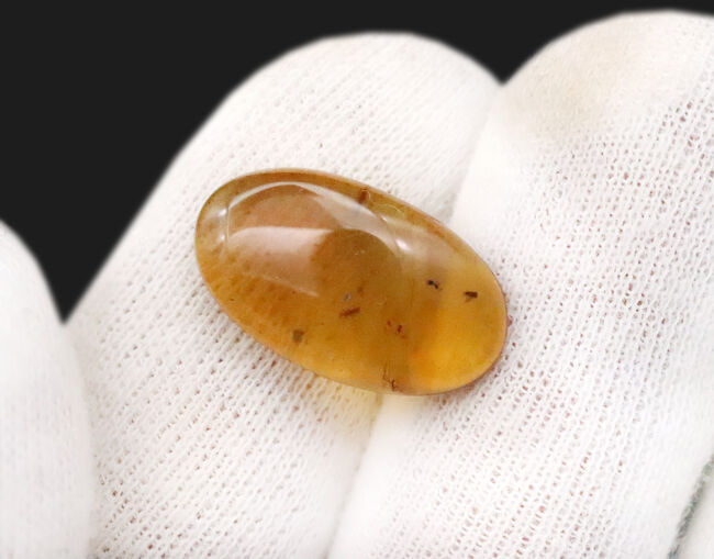 白亜紀の森を封印した化石樹脂ミャンマー琥珀・バーマイト（Burmite）（その3）