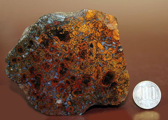特大!色鮮やか!人気のハンガリー産のストロマトライトを含むメノウ(Agate)(その10)