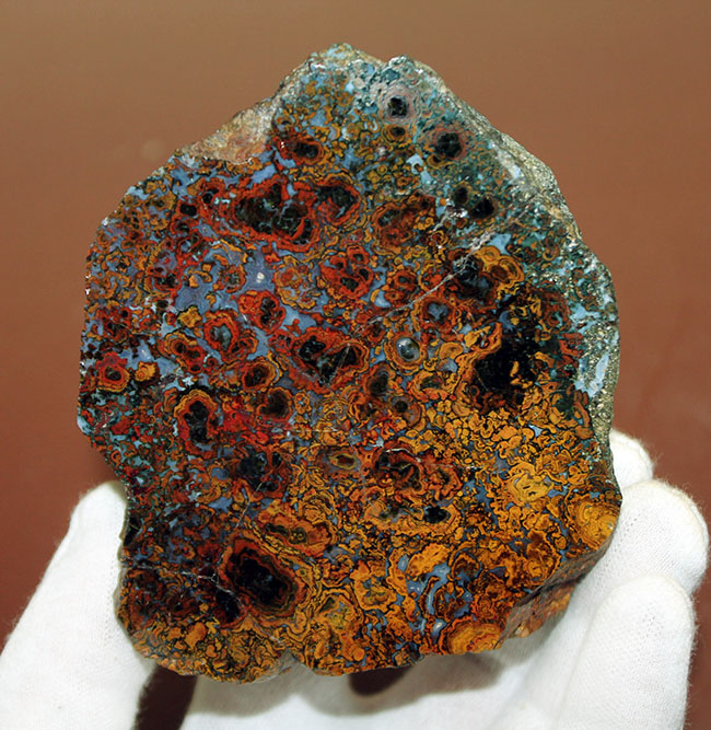 特大!色鮮やか!人気のハンガリー産のストロマトライトを含むメノウ(Agate)(その2)