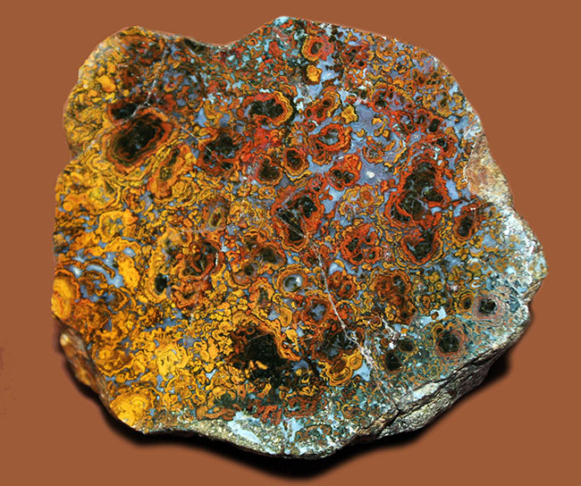 特大!色鮮やか!人気のハンガリー産のストロマトライトを含むメノウ(Agate)(その4)