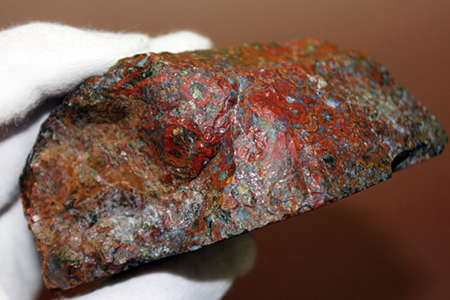 特大!色鮮やか!人気のハンガリー産のストロマトライトを含むメノウ(Agate)(その9)