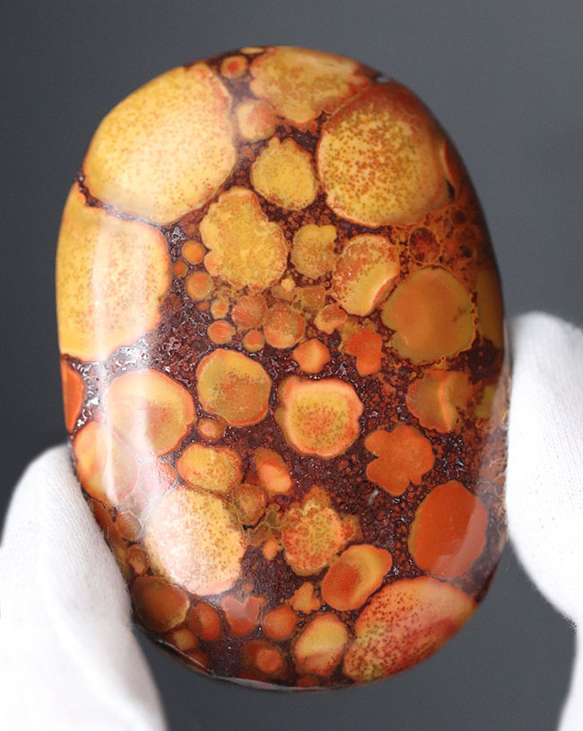 スネークスキン！大人気鉱物、インド産キングコブラジャスパー（Orbicular Jasper）（その1）