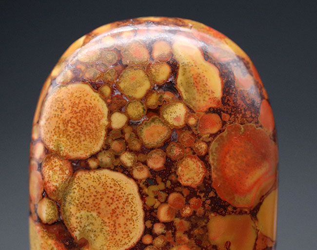 スネークスキン！大人気鉱物、インド産キングコブラジャスパー（Orbicular Jasper）（その3）