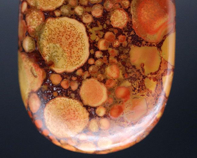 スネークスキン！大人気鉱物、インド産キングコブラジャスパー（Orbicular Jasper）（その4）