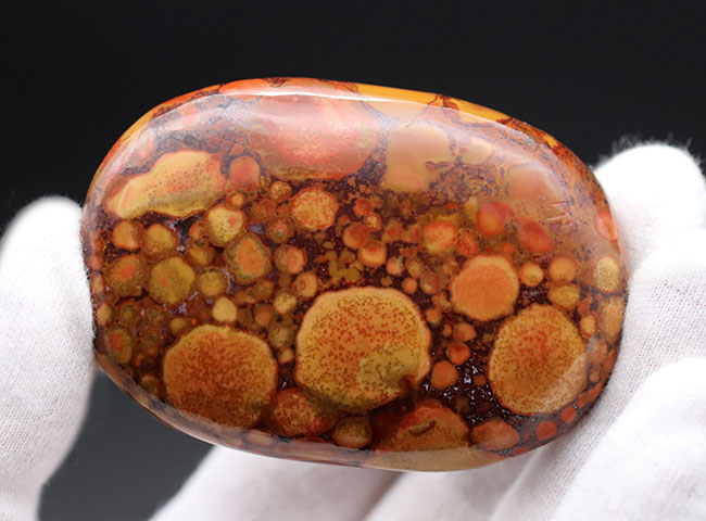 スネークスキン！大人気鉱物、インド産キングコブラジャスパー（Orbicular Jasper）（その5）