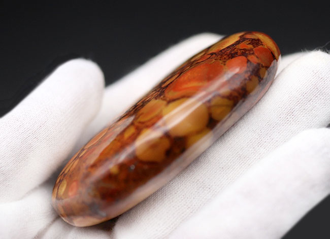 スネークスキン！大人気鉱物、インド産キングコブラジャスパー（Orbicular Jasper）（その6）