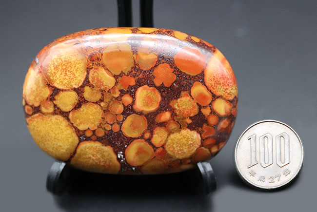 スネークスキン！大人気鉱物、インド産キングコブラジャスパー（Orbicular Jasper）（その9）