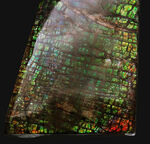 美しい鱗模様、グリーンドラゴン！生物起源の宝石、アンモライト（Ammolite）のピース
