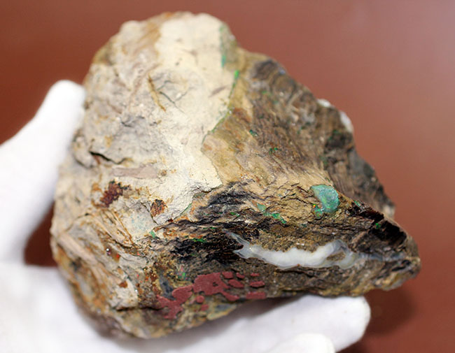 レア!様々な色のオパールを含んだ珪化木(米国ネバダ州産)。素晴らしい発色。(その4)