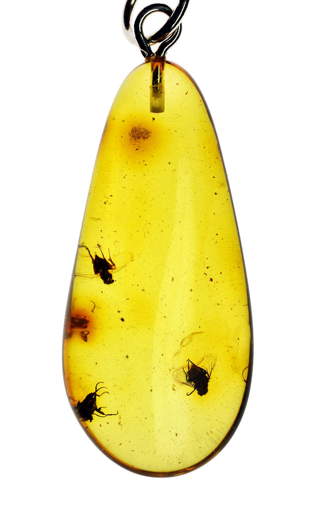 古の王侯貴族御用達!3匹の虫を内包した透明度の高い琥珀ペンダントトップ。レモンイエロー色(高級ジュエリーケース、シルバーチェーンと革紐付)。(その1)