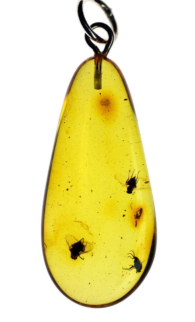 古の王侯貴族御用達!3匹の虫を内包した透明度の高い琥珀ペンダントトップ。レモンイエロー色(高級ジュエリーケース、シルバーチェーンと革紐付)。(その3)