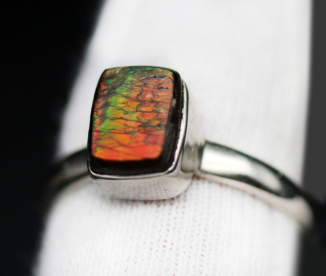 ドラゴンスキン!多彩な色が現れる宝石アンモライト(Ammolite)を使ったリング。USA8号(JCS規格15号)、男女兼用です(その2)
