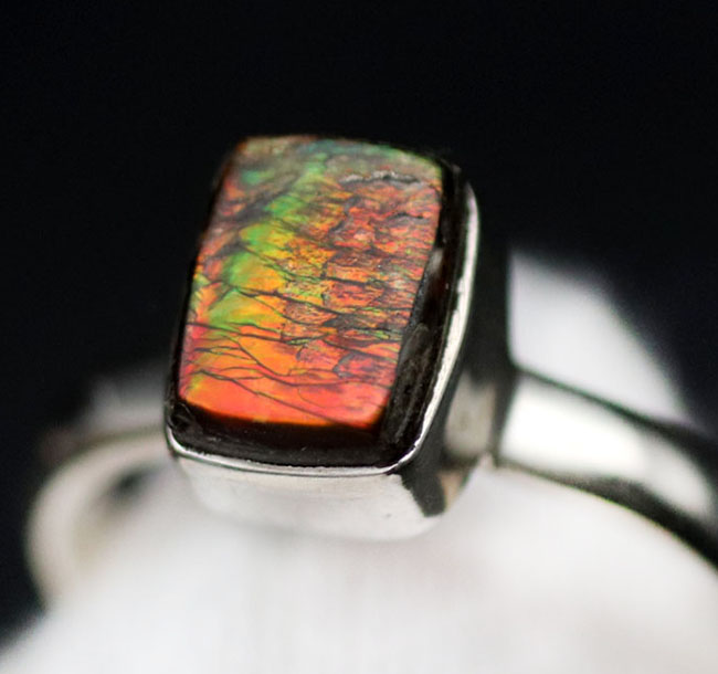ドラゴンスキン!多彩な色が現れる宝石アンモライト(Ammolite)を使ったリング。USA8号(JCS規格15号)、男女兼用です(その3)