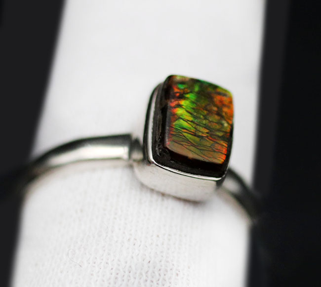 ドラゴンスキン!多彩な色が現れる宝石アンモライト(Ammolite)を使ったリング。USA8号(JCS規格15号)、男女兼用です(その4)