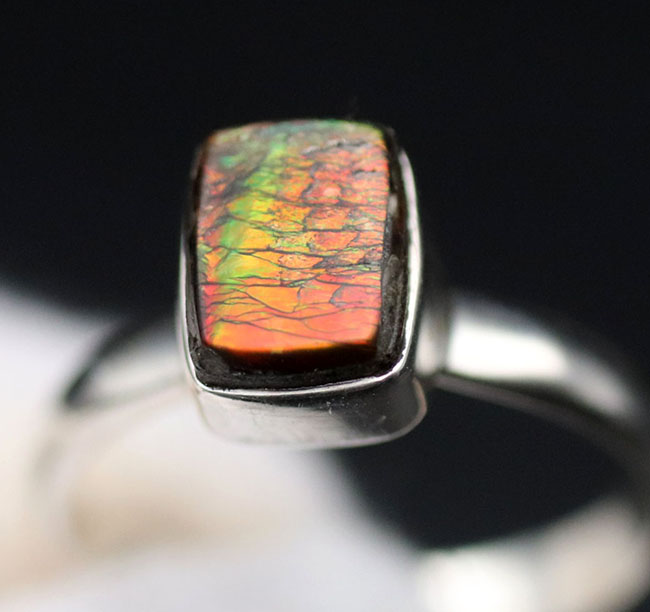 ドラゴンスキン!多彩な色が現れる宝石アンモライト(Ammolite)を使ったリング。USA8号(JCS規格15号)、男女兼用です(その5)