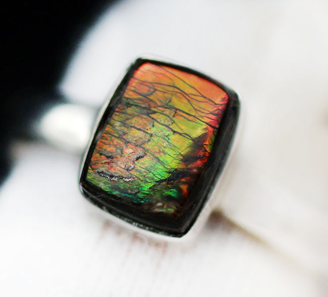 ドラゴンスキン!多彩な色が現れる宝石アンモライト(Ammolite)を使ったリング。USA8号(JCS規格15号)、男女兼用です(その7)