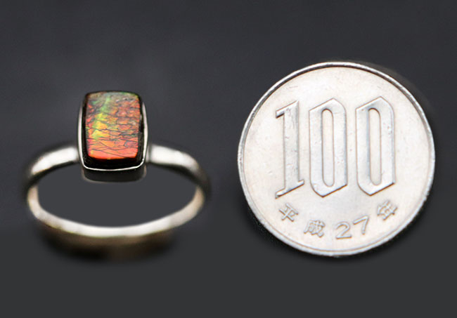 ドラゴンスキン!多彩な色が現れる宝石アンモライト(Ammolite)を使ったリング。USA8号(JCS規格15号)、男女兼用です(その9)