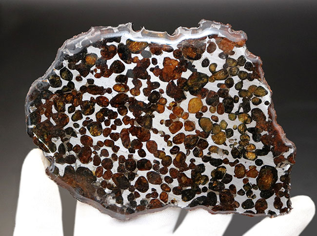 カンラン石の透明度、品質ともに高い！長いところで１３センチ！大判のケニヤ産パラサイト隕石（本体防錆処理済み）（その5）
