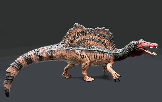 本物化石１個付き スピノサウルス恐竜フィギュア 教育用グッズ 販売