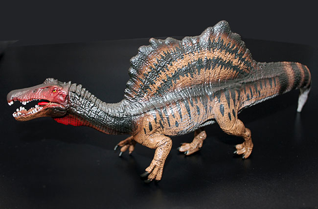 本物化石１個付き！スピノサウルス恐竜フィギュア。（その6）