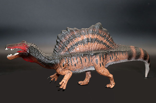 本物化石１個付き！スピノサウルス恐竜フィギュア。（その7）