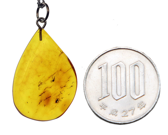 貴方の胸元を4000万年前の琥珀で飾ろう!虫を三匹内包した、大きなバルト海産琥珀(Amber)のペンダントトップ(シルバーチェーン、高級ジュエリーケース付き)。(その9)